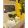 Bath Bomb with Foot Scrubber Gift Set