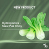 Hydroponics - Siew Pak Choy